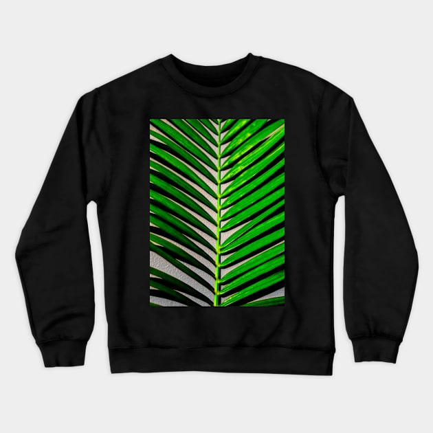 palm leaves photography Crewneck Sweatshirt by à la mode !